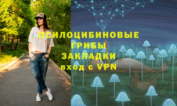 сатива Верхнеуральск