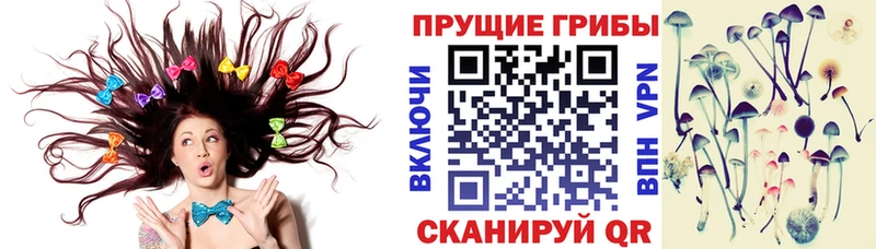 магазин продажи наркотиков MEGA сайт Псилоцибиновые грибы Psilocybine cubensis Клинцы